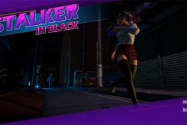 黑夜跟踪官方中文版 Stalker in black Build.8939376 【电脑版/3DACT/汉化】